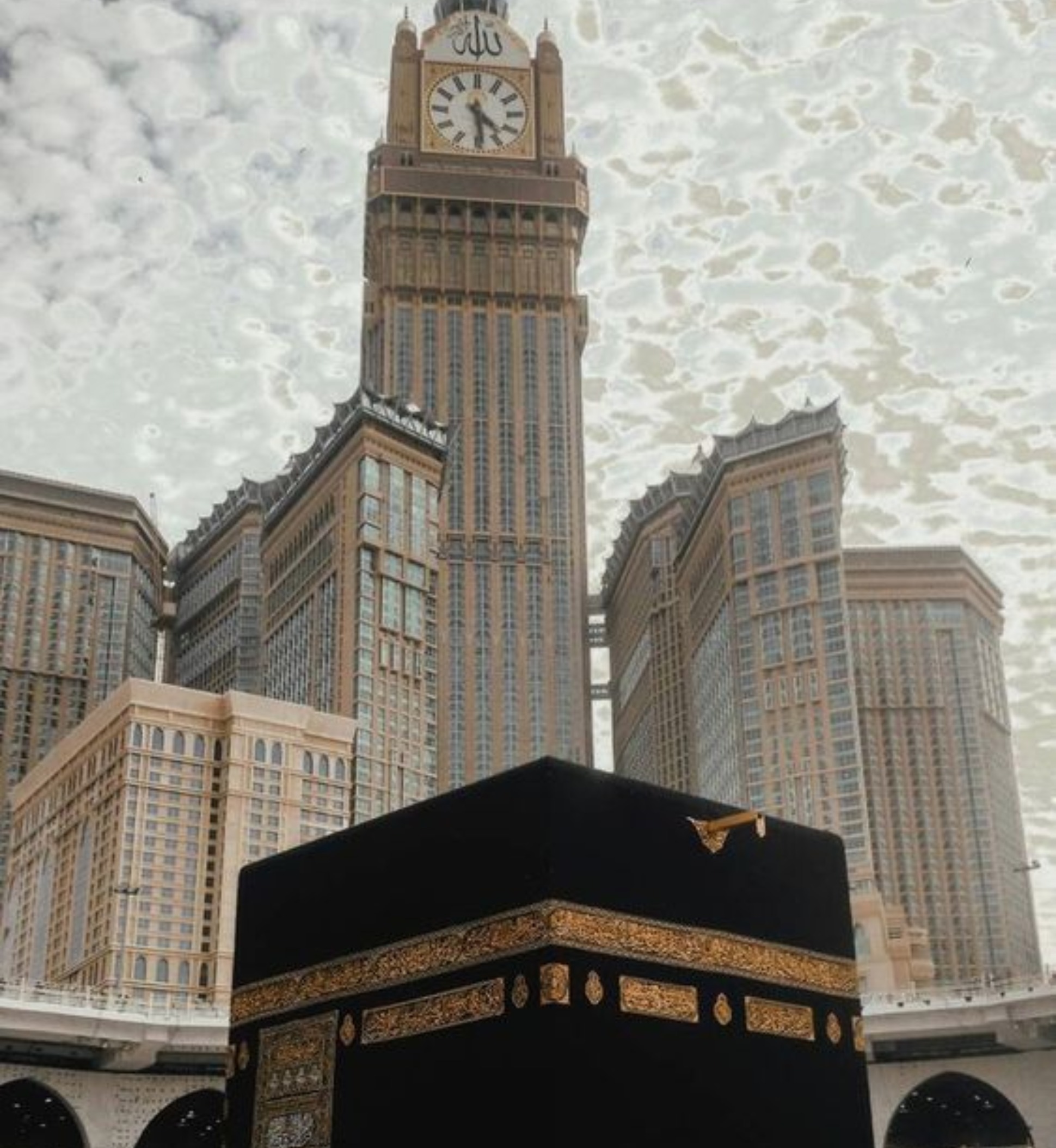 Large Image 1